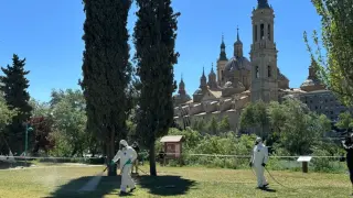Dos trabajadores del Instituto Salud Pública, en el parque de Macanaz de Zaragoza