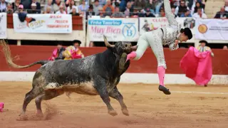 El matador español Román Collado, corneado por el segundo toro que afrontaba, 'Segoviano', que le corneó en el muslo izquierdo y lo mantuvo colgando en el aire durante varios segundos