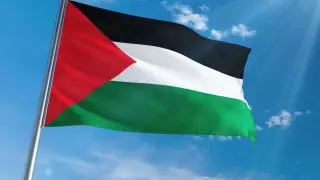 Bandera de Palestina.