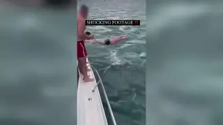 Multan a un hombre por saltar contra una orca desde un barco en Nueva Zelanda