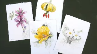 Algunas de los cuadros de naturaleza y flores de Beatriz Bertolín, que desarrolla su propia teórica poética sobre la naturaleza y su hermosura.