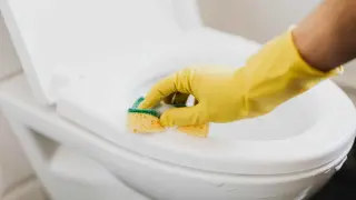 limpieza baño wc gsc1