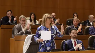 La portavoz socialista, Mayte Pérez, en su intervención de este viernes en la sesión de control parlamentario al Gobierno de Aragón.