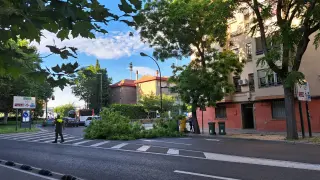 El árbol ha cortado la circulación del Coso Bajo unos minutos