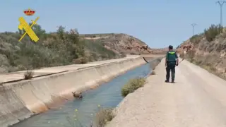 La Guardia Civil salva a un pequeño corzo atrapado en un canal entre Calanda y Alcañiz