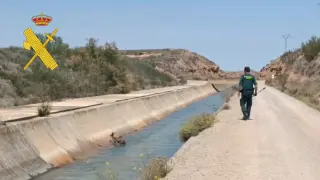 Un agente de la Guardia Civil guiando al corzo por el canal