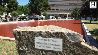 La fuente de la Universidad de Zaragoza se tiñe de rojo