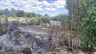 Una de las zonas quemadas por el presunto pirómano en la localidad de Zuera.
