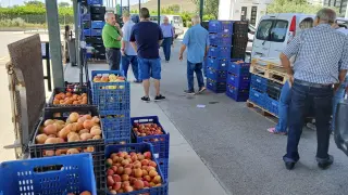 Mercofraga registró una buena afluencia de fruticultores y compradores el primer día de campaña.