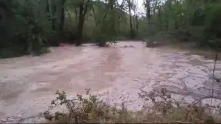 Vídeo: una tromba de agua convierte en un río el camino de Cañizar a Estercuel