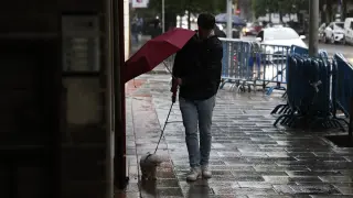 MADRID, 10/06/2024.-Un viandante cubre a su perro con el paraguas una mañana lluviosa en Madrid este lunes. Una vaguada atlántica causará lluvias desde este lunes, provocando una inestabilidad generalizada que se prolongará hasta el miércoles. EFE/ Rodrigo Jiménez