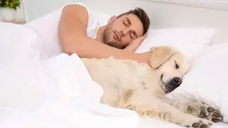 Dormir con tu mascota.