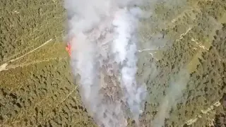 Incendio en una zona de pinar de Yebra de Basa, en Huesca