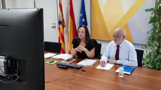 Carmen Susín y Ángel Val asisten por videoconferencia a la reunión del Consejo Territorial de Servicios Sociales