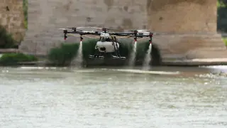 Un dron este martes, expulsando el larvicida contra la mosca negra en el río Ebro.
