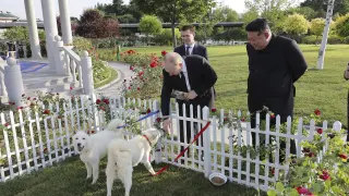 Kim Jong Un regala dos perros de caza a Vladimir Putin.