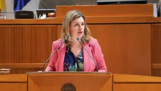 La consejera de Educación, Claudia Pérez Forniés, este viernes en el pleno de las Cortes de Aragón.