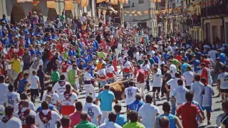 Zaragoza.- Pina de Ebro celebra este sábado el toro de sogas, declarado Fiesta de Interés Turístico de Aragón