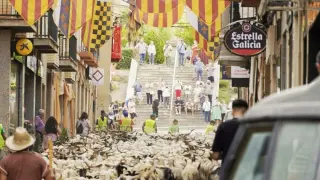 La recreación del Compromiso de Caspe ha empezado este domingo con una trashumancia de ovejas por las calles