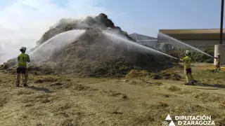 Los bomberos de la DPZ trabajan en la extinción del incendio.