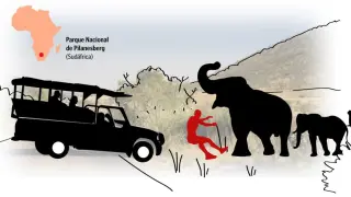 Cartela del ataque mortal de un elefante