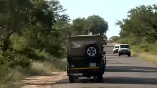Los medios sudafricanos informan de que el turista de Ejea atacado por un elefante salió del todoterreno.