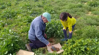 El proyecto de ciencia ciudadana Vigilantes del Suelo ha analizado la calidad de los suelos en cientos de lugares de España