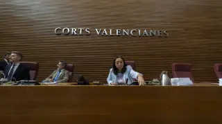 La presidenta de Les Corts valencianas, Llanos Massó, realiza declaraciones a los medios, antes del último pleno ordinario antes del periodo estival.