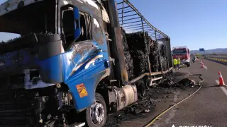 El camión tras incendiarse en la A-23