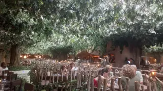 Apertura del restaurante Voltereta Nueva Zelanda en Zaragoza