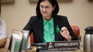 La presidenta de la CNMC, Cani Fernández, comparece en la Comisión de Economía del Congreso