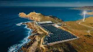 La FAO ha destacado que la acuicultura es una actividad con "un gran potencial" para alimentar a la creciente población mundial