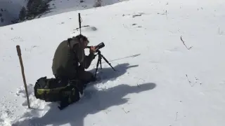 Labores de seguimiento de un sarrio en una de las reservas.