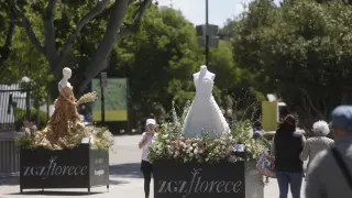 Apertura del Festival Zaragoza Florece