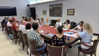Reunión del Consejo Ciudadano celebrada ese miércoles en el Ayuntamiento de Huesca.