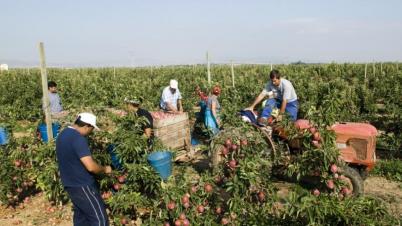 Los fondos permitirán financiar acciones de acondicionamiento de plazas de alojamiento para trabajadores temporales.