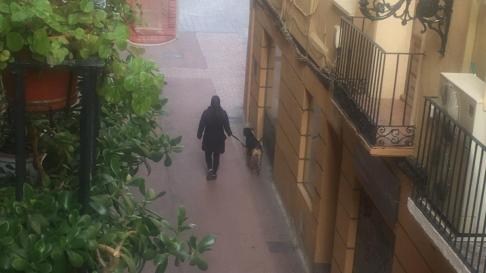 Una voluntaria pasea un perro por la calle San Pablo.