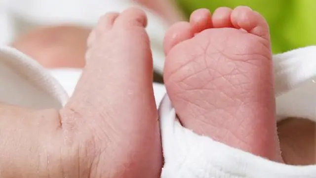 En 2012 se registraron en Aragón 11.980 nacimientos
