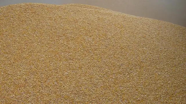 Carga de grano en un silo
