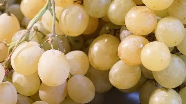 Las uvas tienen una textura resbaladiza que puede deslizarse por la garganta sin haberla masticado.