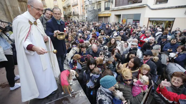 Los animales de Zaragoza reciben su bendición por San Antón