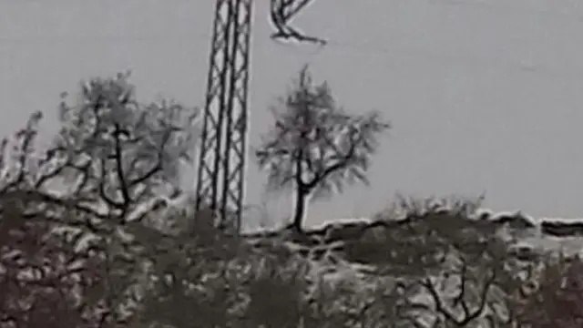 El temporal causa la rotura de 25 postes de luz de la línea Calatayud-Montón. En la imagen, un poste roto por el peso de la nieve en Alarba.