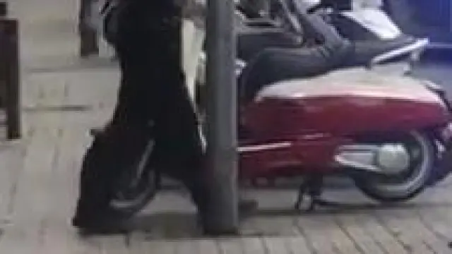 El perro abatido por un agente de la Guardia Urbana de Barcelona.