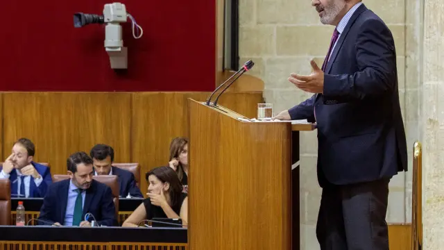 El portavoz de Vox, Alejandro Hernández, durante su intervención en el Parlamento de Andalucía.