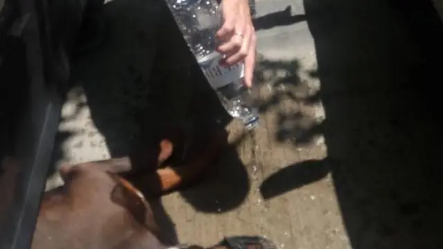 Los agentes de la Policía Local han proporcionado agua al perro deshidratado en la calle Océano Atlántico.