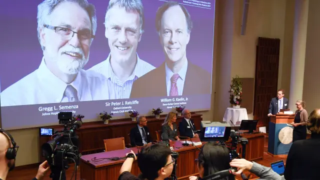 Ceremonia en la que se ha anunciado a William G. Kaelin, Gregg L. Semenza y Peter J. Ratcliffe como ganadores del premio Nobel de Medicina 2019