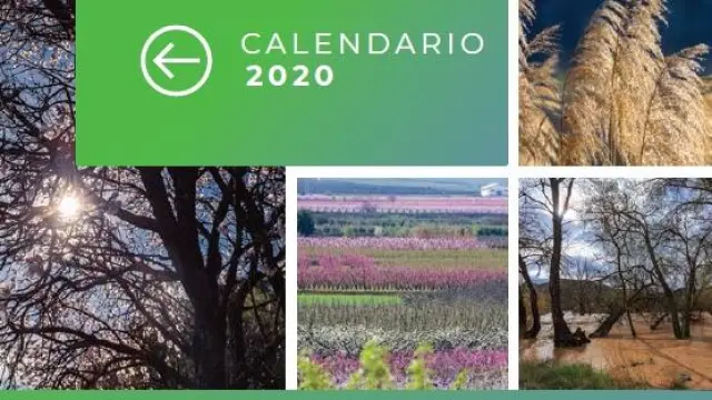 Calendarios para promocionar la comarca de Valdejalón.