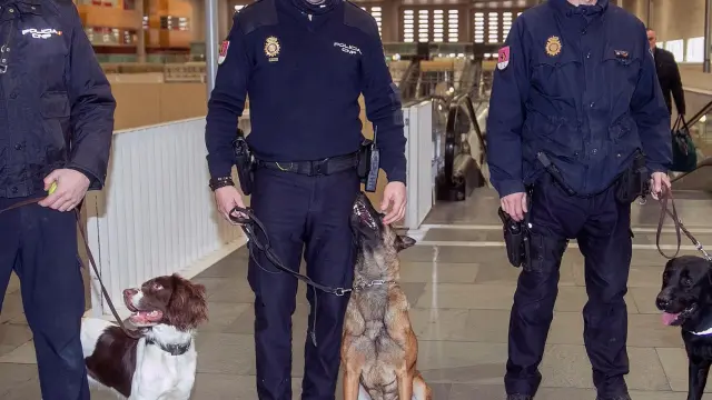 Agentes de la unidad canina y sus perros en la estación Delicias.