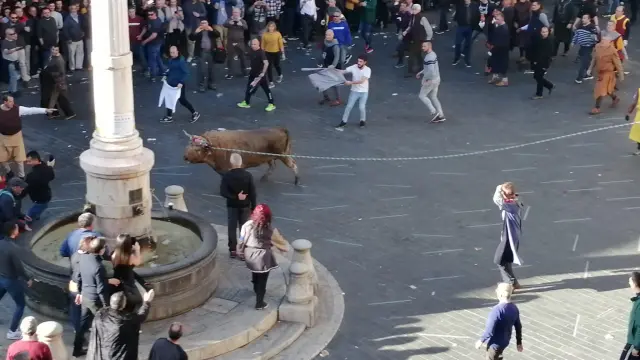 El toro nupcial y ensogado ya se está celebrando en la plaza del Torico