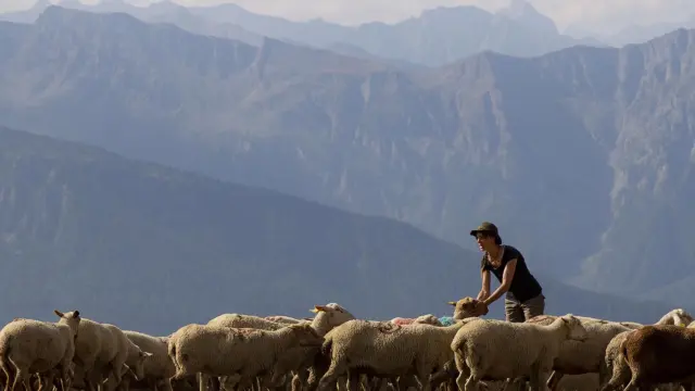 En la imagen, Nuria de pastora en los Alpes franceses.